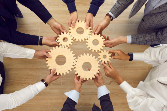 The Human Factor: Building and Managing a Strong Team in Your Small Business